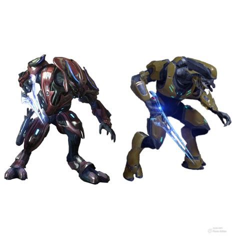 awesome halo sangheili pictures|how do sangheili reproduce.